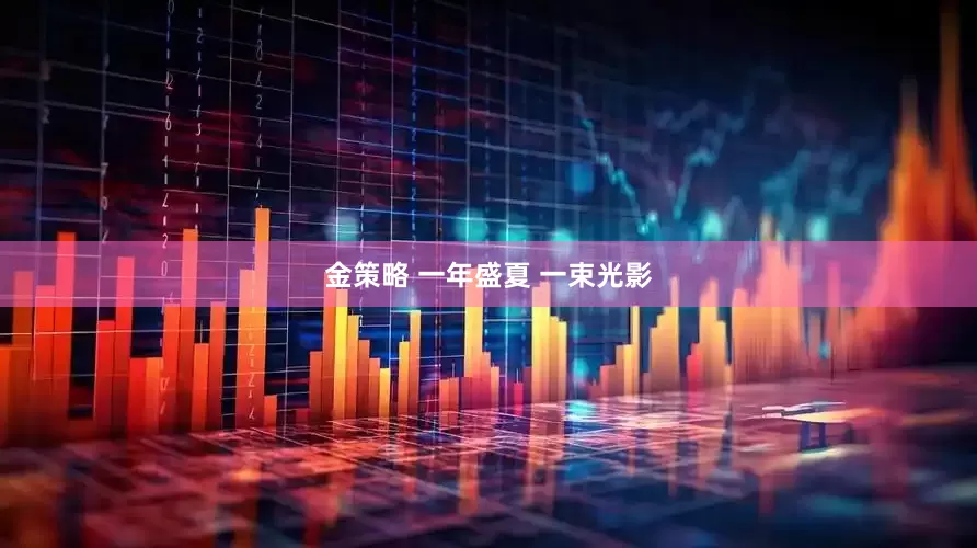 金策略 一年盛夏 一束光影