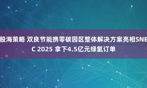 股海策略 双良节能携零碳园区整体解决方案亮相SNEC 2025 拿下4.5亿元绿氢订单